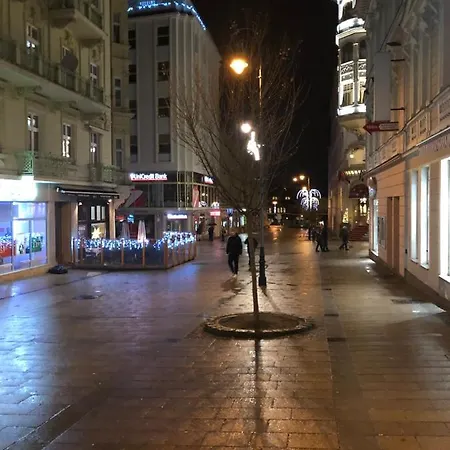 Central Карловы Вары
